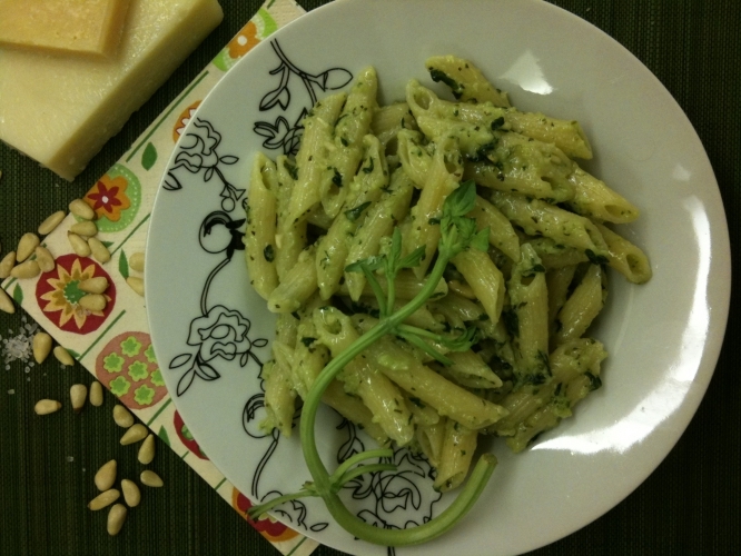 Penne Pasta with Basil Pesto Recipe