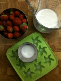 Ingredients for Strawberry Milkshake